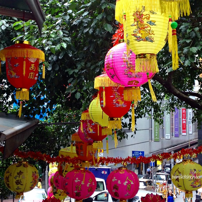 Chinese New Year Holiday With Chinese Vegan Radish Cakes