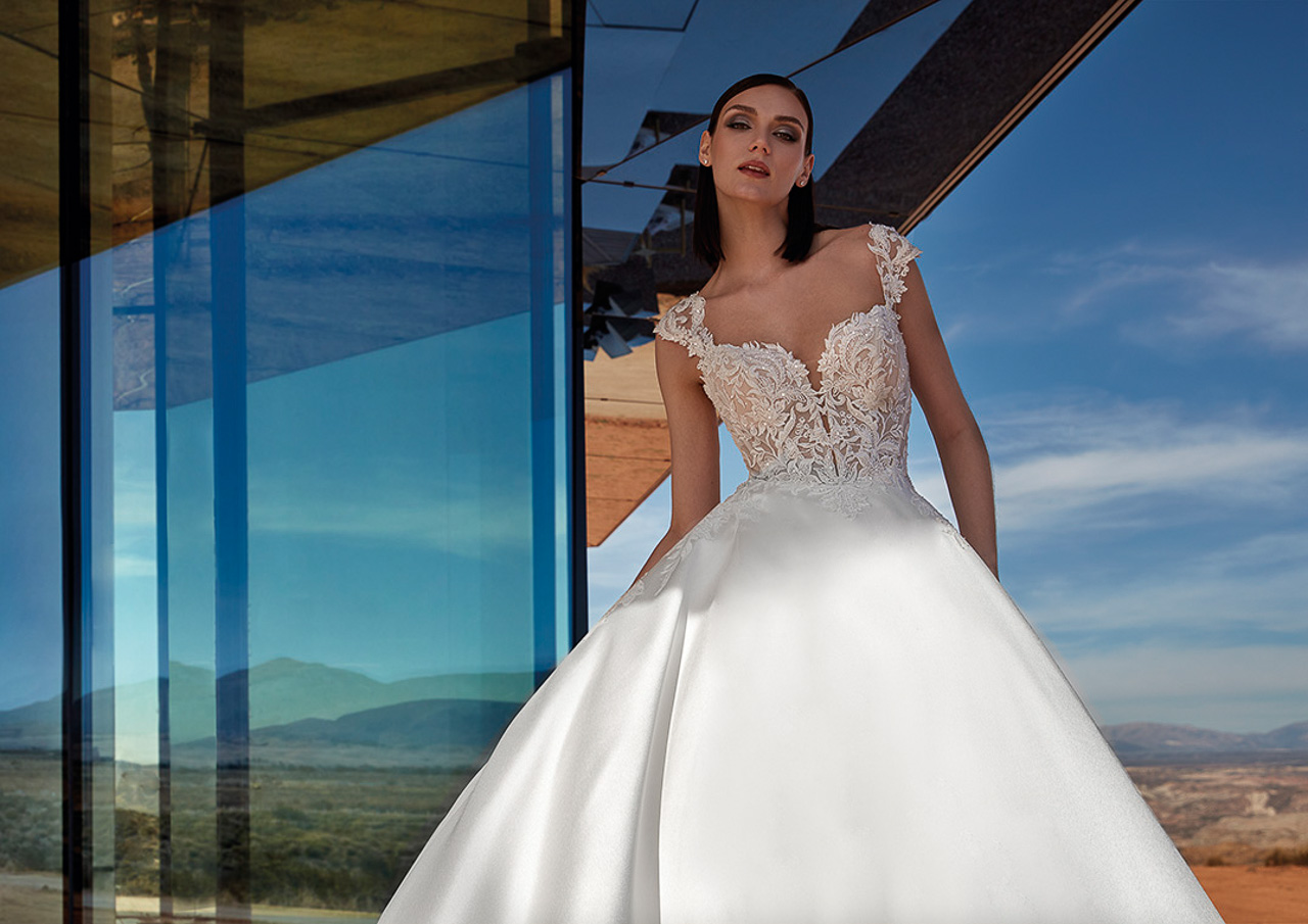 Pronovias Privée 2024 Wedding Dresses